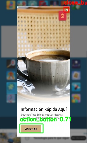 Detected image