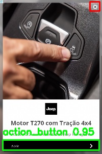 Detected image