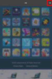 Detected image
