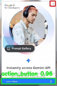 Detected image