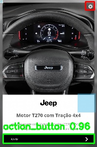 Detected image