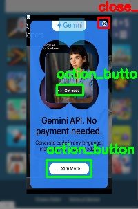 Detected image