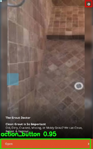 Detected image