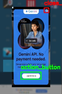Detected image