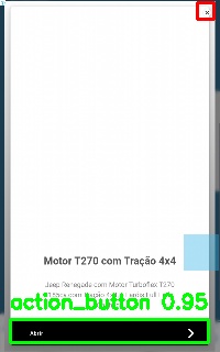 Detected image