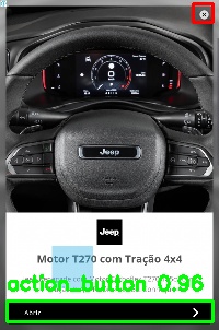 Detected image