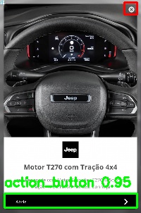 Detected image