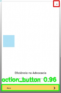 Detected image
