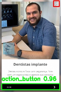 Detected image