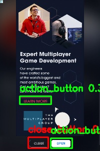 Detected image