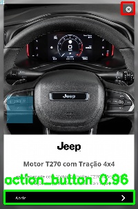 Detected image