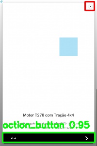 Detected image