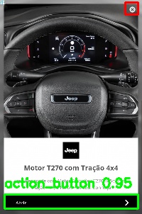 Detected image