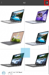 Detected image