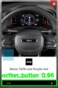 Detected image
