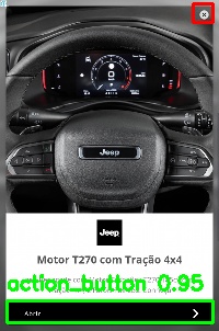 Detected image