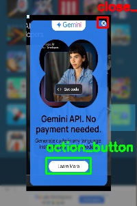 Detected image