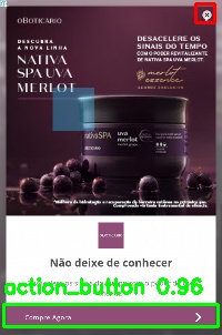 Detected image