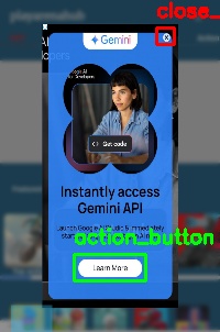 Detected image