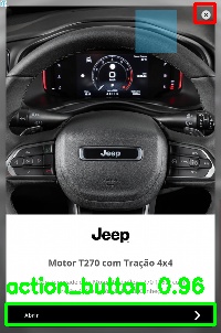Detected image
