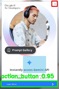 Detected image