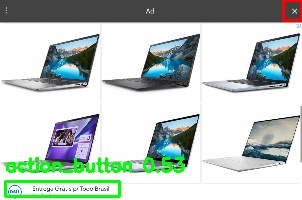Detected image