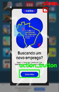 Detected image