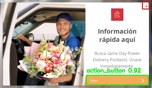 Detected image