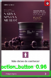 Detected image