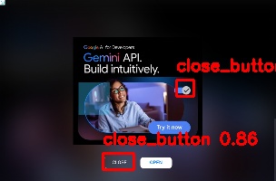 Detected image