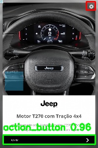 Detected image