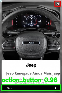 Detected image
