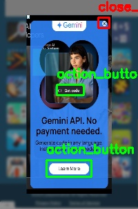 Detected image