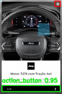 Detected image