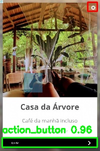 Detected image