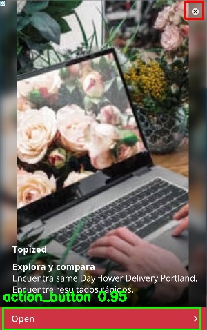 Detected image