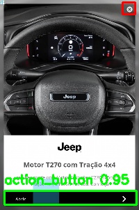 Detected image