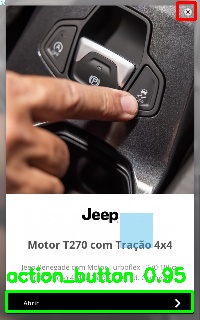 Detected image