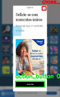 Detected image