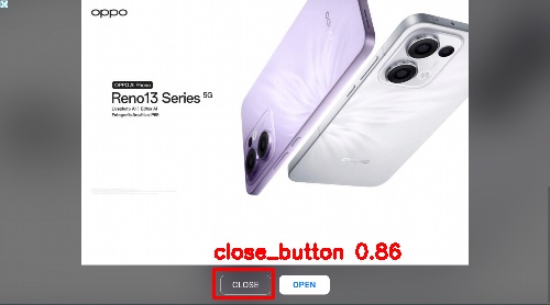 Detected image