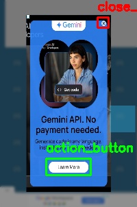 Detected image