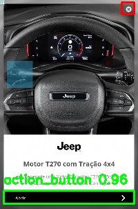 Detected image
