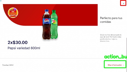 Detected image