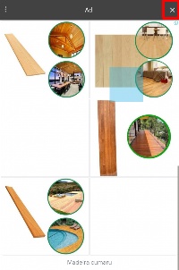 Detected image