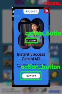 Detected image