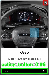 Detected image