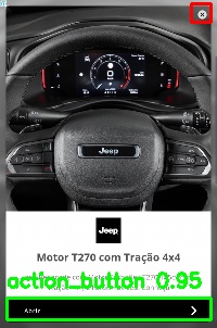 Detected image