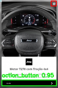 Detected image