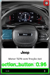Detected image