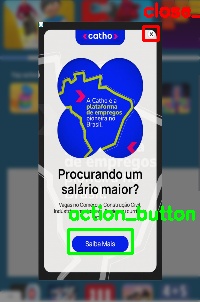 Detected image